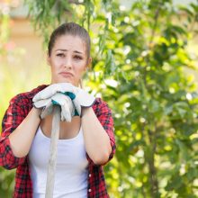 Avoiding Backyard Blunders: 5 Things to Know About A Property Before You Buy